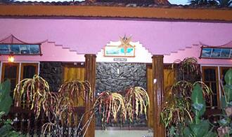 Tharayil Tourist Home, Alleppey 1